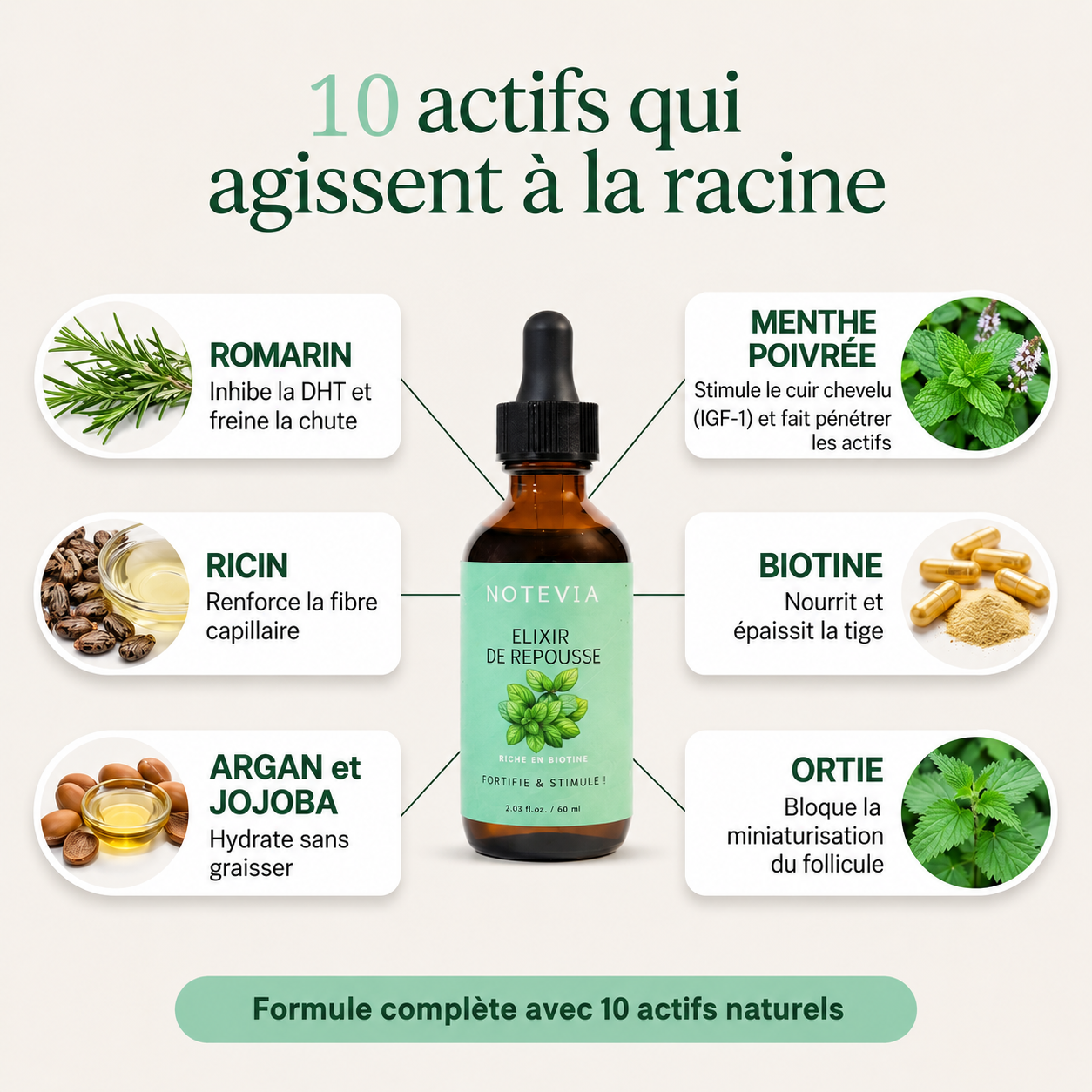 Élixir Déstockage